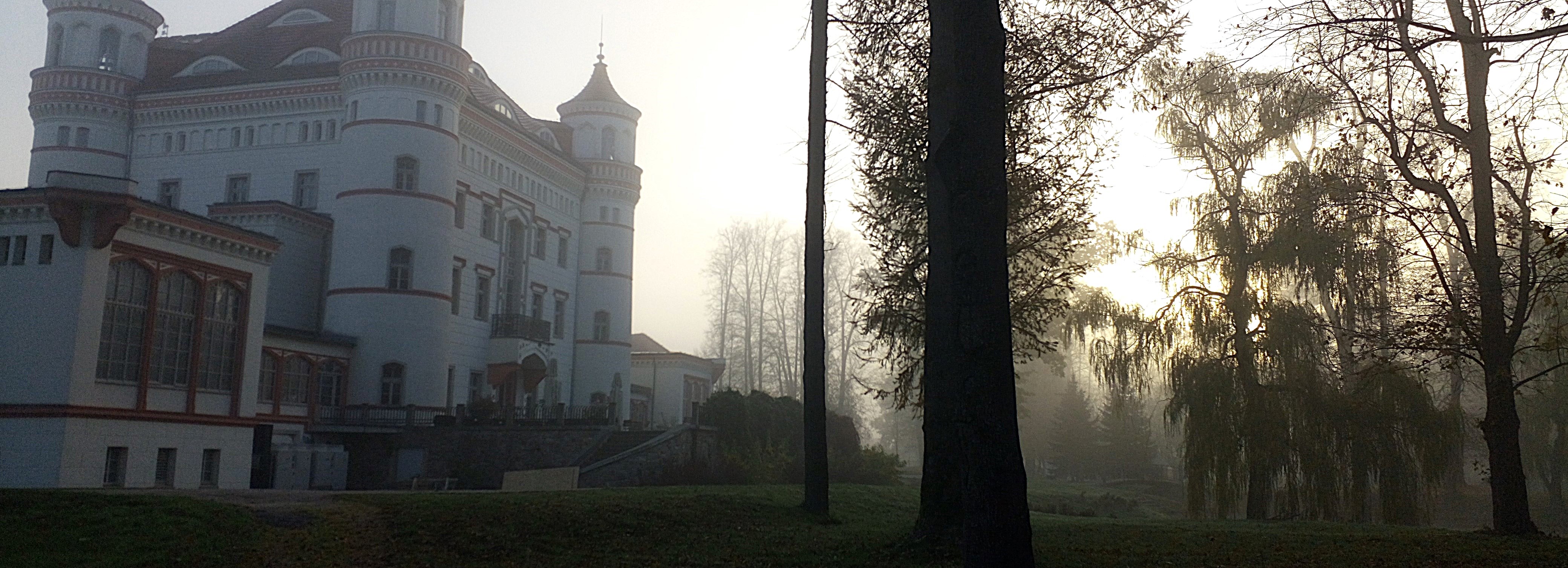 Pałac Wojanów, the DLED 2024 hosting place in the morning fog.